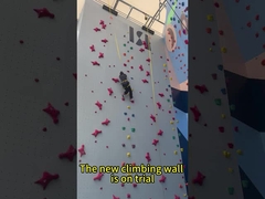 O automóvel interno padrão do painel de parede da velocidade de escalada amarra impermeável