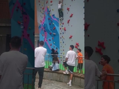 A escalada da velocidade de Bouldering da fibra de vidro guarda a anti corrosão profissional